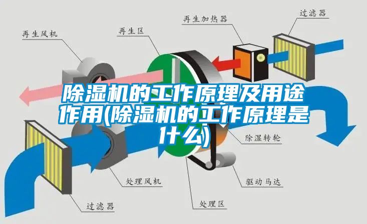 国产精品探花在线观看 除湿机的工作原理及用途作用(除湿机的工作原理是什么)