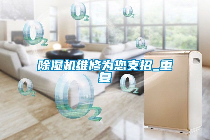 国产精品三级在线观看 除湿机维修为您支招_重复