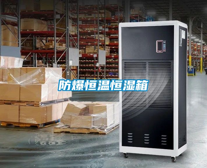 国产精品探花在线观看 防爆恒温恒湿箱