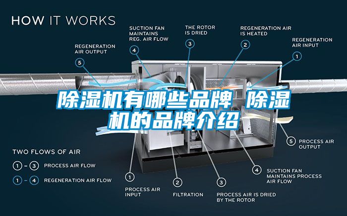 国产精品三级在线观看 除湿机有哪些品牌 除湿机的品牌介绍