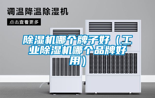 国产精品欧美激情视频 除湿机哪个牌子好（工业除湿机哪个品牌好用）