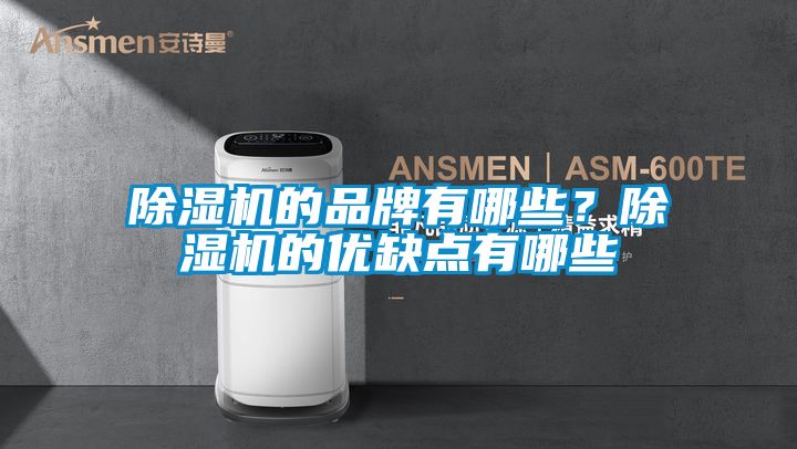 国产精品欧美激情视频 除湿机的品牌有哪些？除湿机的优缺点有哪些