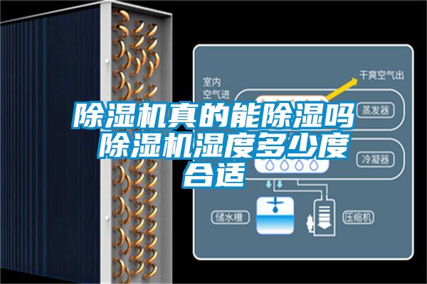 国产精品欧美激情视频 除湿机真的能除湿吗 除湿机湿度多少度合适