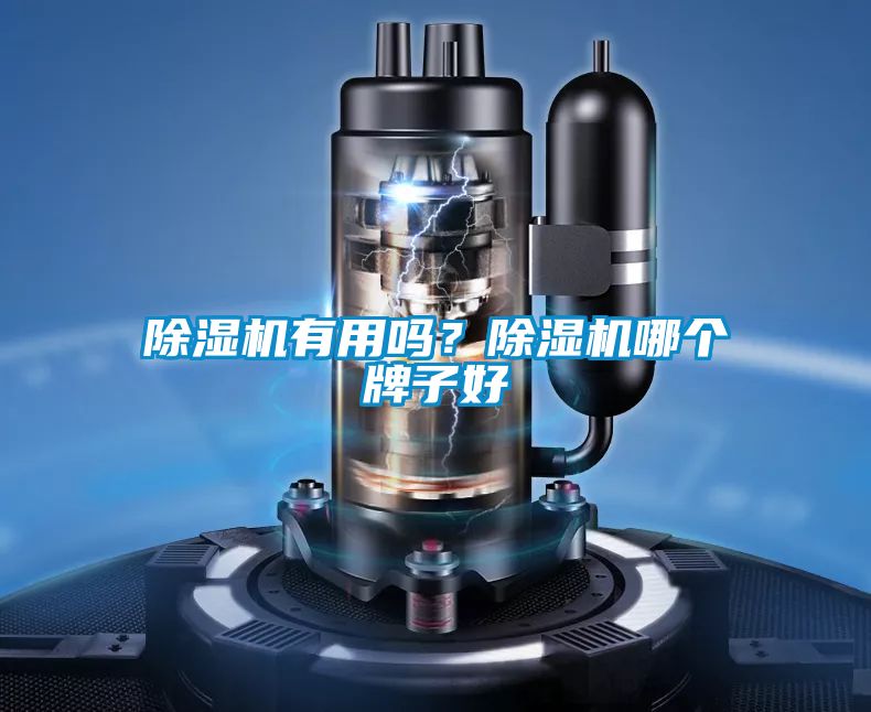 国产精品三级在线观看 除湿机有用吗？除湿机哪个牌子好