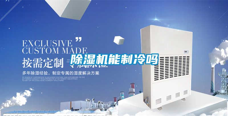 国产精品欧美激情视频 除湿机能制冷吗