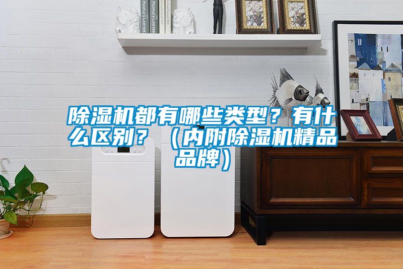 国产精品欧美激情视频 除湿机都有哪些类型？有什么区别？（内附除湿机精品品牌）