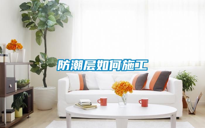 国产精品三级在线观看 防潮层如何施工