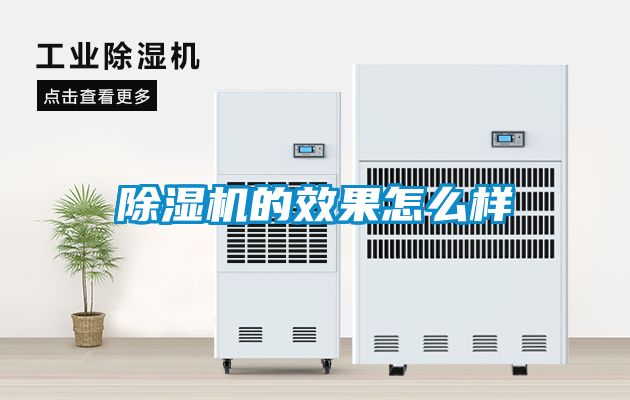国产精品三级在线观看 除湿机的效果怎么样