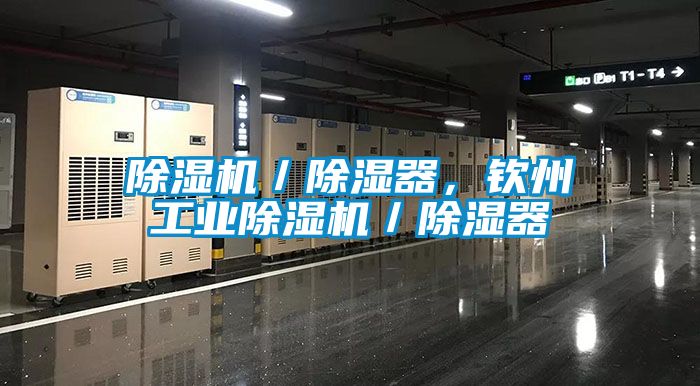 国产精品探花在线观看 除湿机／除湿器，钦州工业除湿机／除湿器