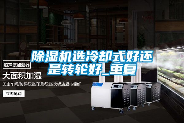 国产精品欧美激情视频 除湿机选冷却式好还是转轮好_重复