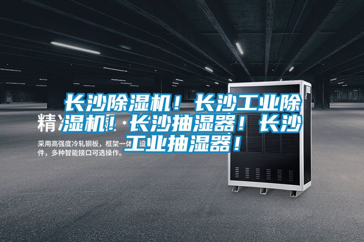 国产精品三级在线观看 长沙除湿机！长沙工业除湿机！长沙抽湿器！长沙工业抽湿器！