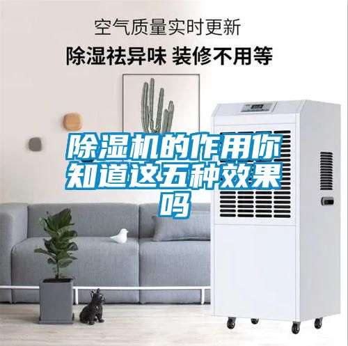 国产精品欧美激情视频 除湿机的作用你知道这五种效果吗