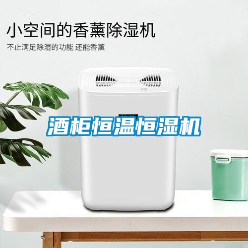 国产精品欧美激情视频 酒柜恒温恒湿机