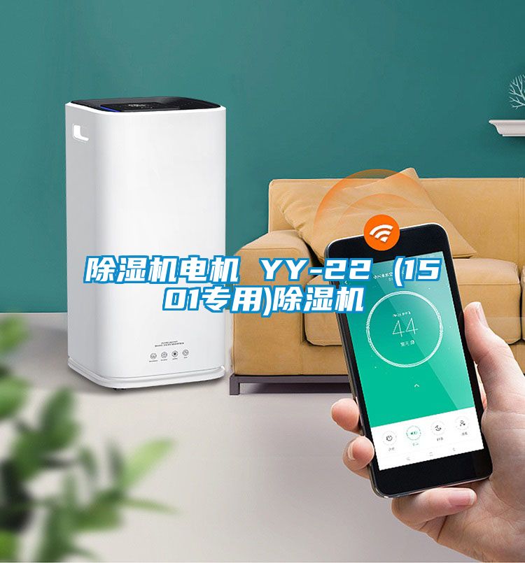 国产精品三级在线观看 除湿机电机 YY-22 (1501专用)除湿机