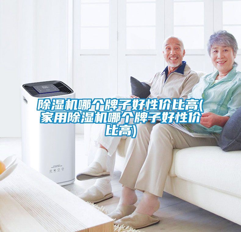 国产精品三级在线观看 除湿机哪个牌子好性价比高(家用除湿机哪个牌子好性价比高)