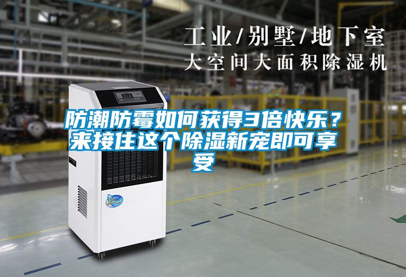 国产精品探花在线观看 防潮防霉如何获得3倍快乐？来接住这个除湿新宠即可享受