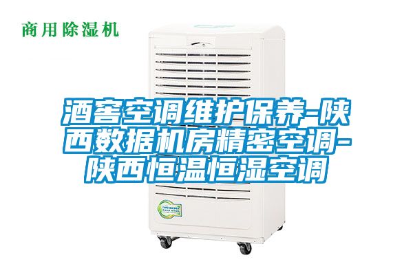 国产精品欧美激情视频 酒窖空调维护保养-陕西数据机房精密空调-陕西恒温恒湿空调