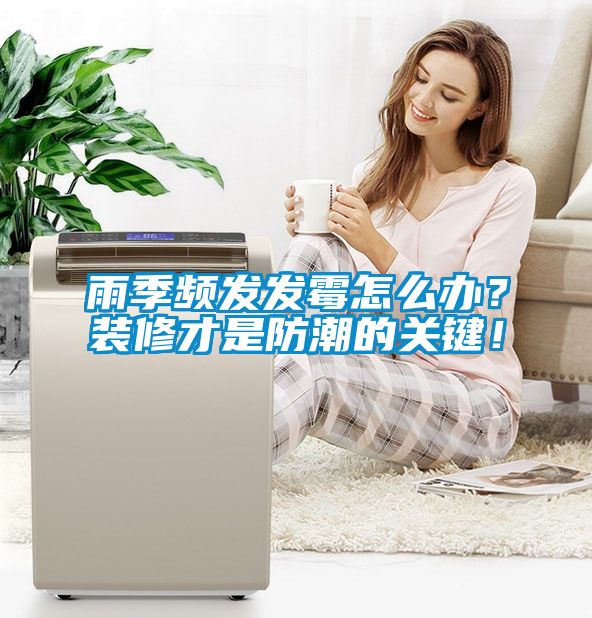 国产精品三级在线观看 雨季频发发霉怎么办？装修才是防潮的关键！
