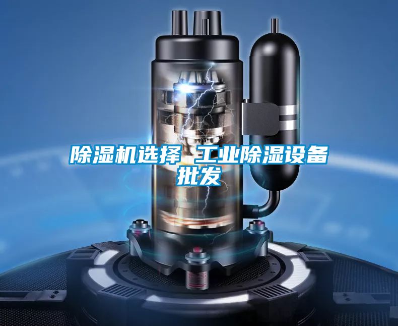 国产精品欧美激情视频 除湿机选择 工业除湿设备批发
