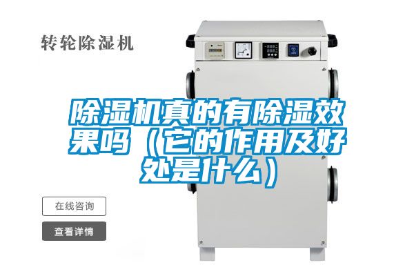 国产精品三级在线观看 除湿机真的有除湿效果吗（它的作用及好处是什么）