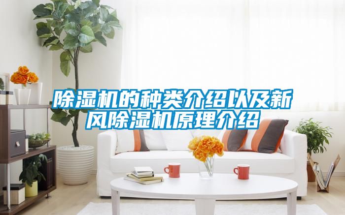国产精品三级在线观看 除湿机的种类介绍以及新风除湿机原理介绍
