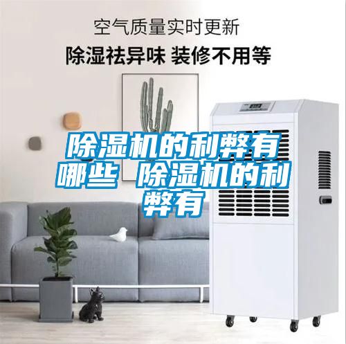 国产精品三级在线观看 除湿机的利弊有哪些 除湿机的利弊有