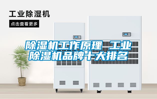 国产精品三级在线观看 除湿机工作原理 工业除湿机品牌十大排名
