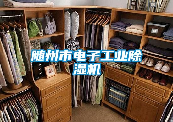 国产精品三级在线观看 随州市电子工业除湿机
