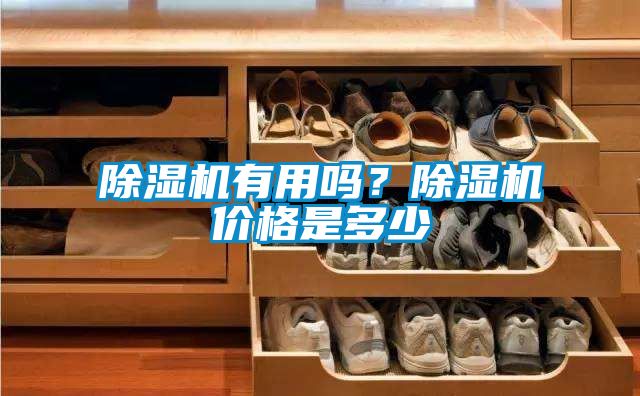 国产精品探花在线观看 除湿机有用吗？除湿机价格是多少