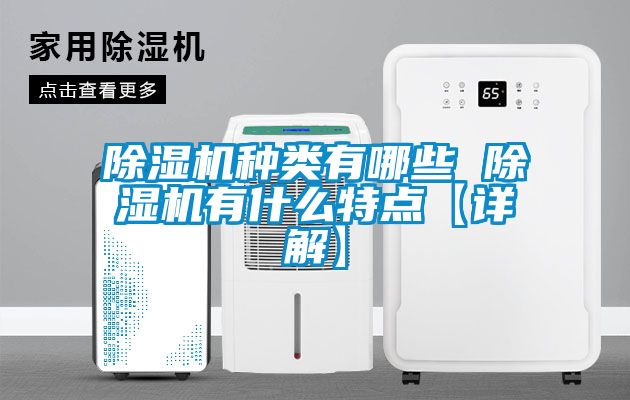 国产精品欧美激情视频 除湿机种类有哪些 除湿机有什么特点【详解】