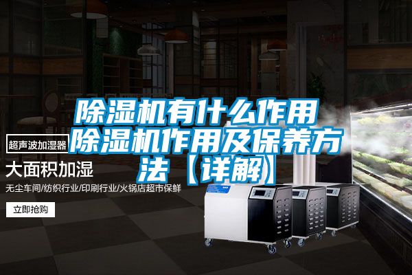 国产精品欧美激情视频 除湿机有什么作用 除湿机作用及保养方法【详解】