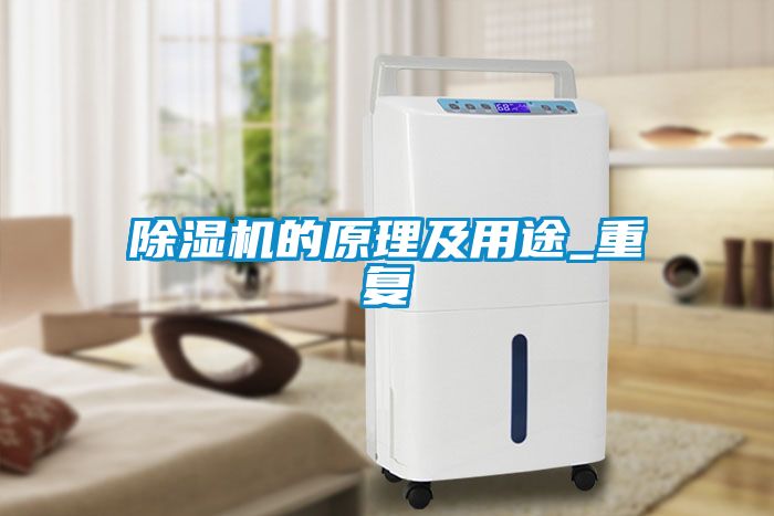国产精品三级在线观看 除湿机的原理及用途_重复