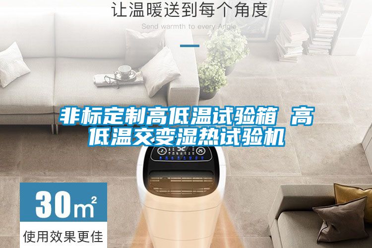 国产精品三级在线观看 非标定制高低温试验箱 高低温交变湿热试验机