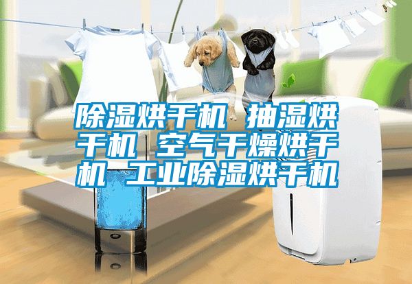 国产精品欧美激情视频 除湿烘干机 抽湿烘干机 空气干燥烘干机 工业除湿烘干机