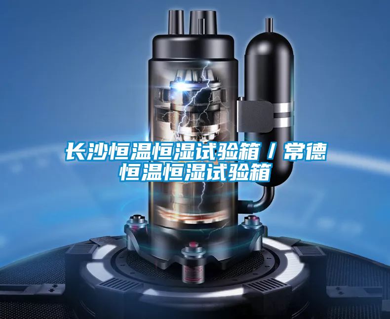 国产精品三级在线观看 长沙恒温恒湿试验箱／常德恒温恒湿试验箱
