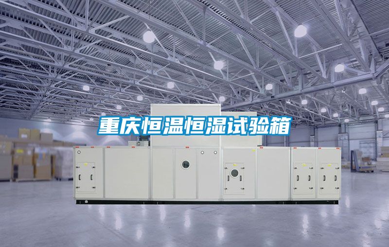 国产精品三级在线观看 重庆恒温恒湿试验箱