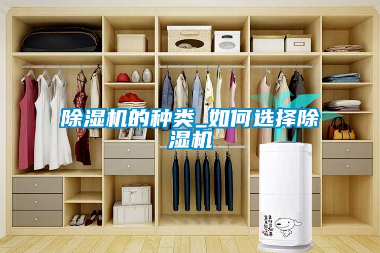 国产精品三级在线观看 除湿机的种类_如何选择除湿机