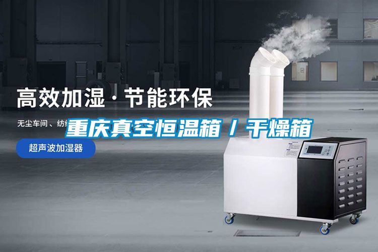 国产精品三级在线观看 重庆真空恒温箱／干燥箱