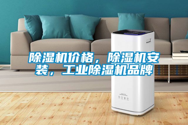 国产精品欧美激情视频 除湿机价格，除湿机安装，工业除湿机品牌
