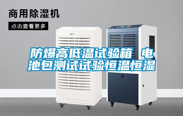 国产精品探花在线观看 防爆高低温试验箱 电池包测试试验恒温恒湿