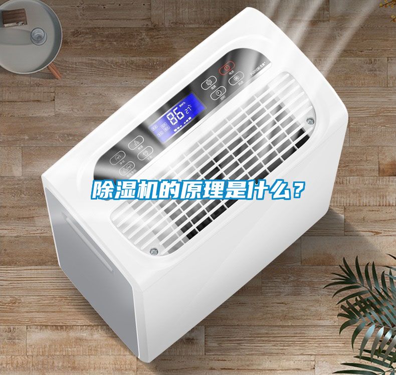 国产精品探花在线观看 除湿机的原理是什么？