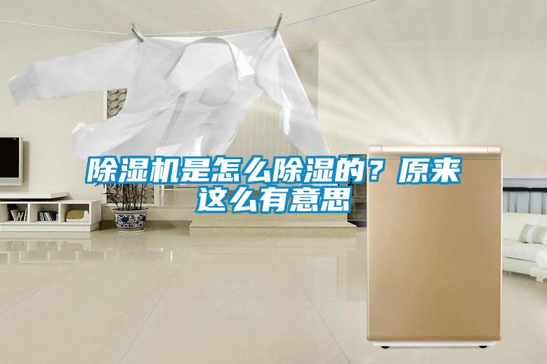 国产精品探花在线观看 除湿机是怎么除湿的？原来这么有意思