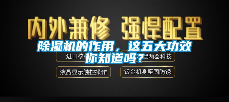 国产精品探花在线观看 除湿机的作用，这五大功效你知道吗？
