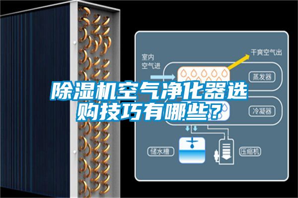 国产精品三级在线观看 除湿机空气净化器选购技巧有哪些？