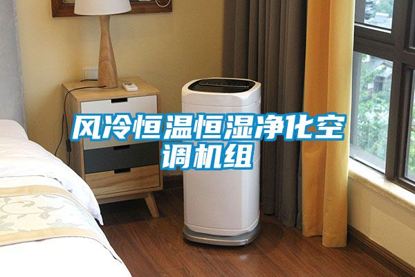 国产精品欧美激情视频 风冷恒温恒湿净化空调机组