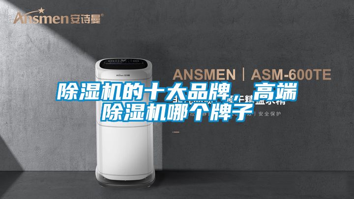 国产精品三级在线观看 除湿机的十大品牌，高端除湿机哪个牌子