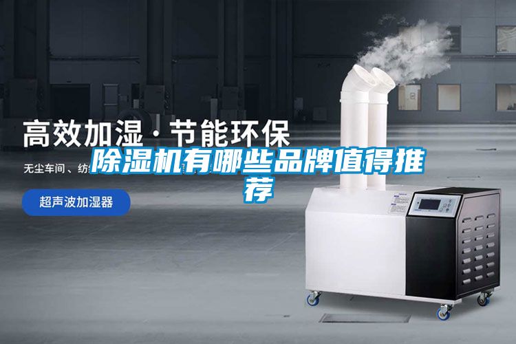 国产精品探花在线观看 除湿机有哪些品牌值得推荐