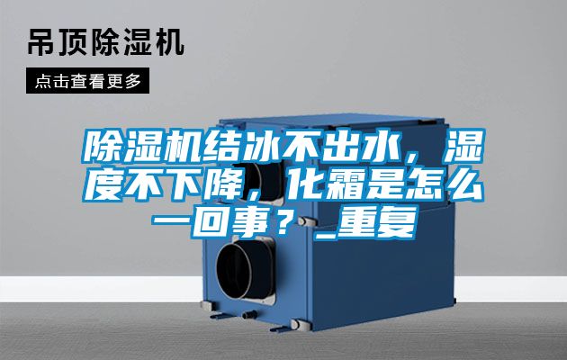 国产精品三级在线观看 除湿机结冰不出水，湿度不下降，化霜是怎么一回事？_重复