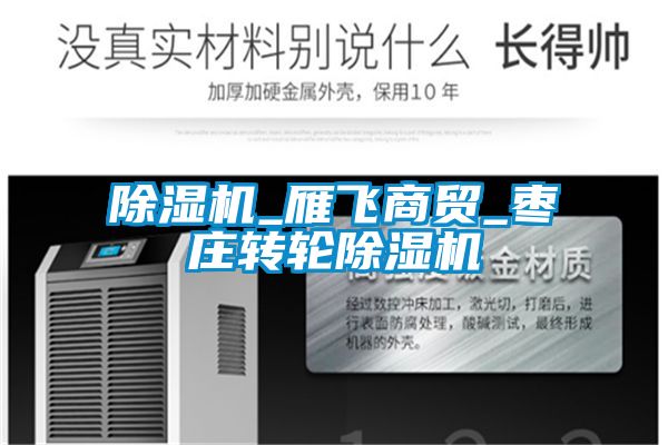 国产精品欧美激情视频 除湿机_雁飞商贸_枣庄转轮除湿机