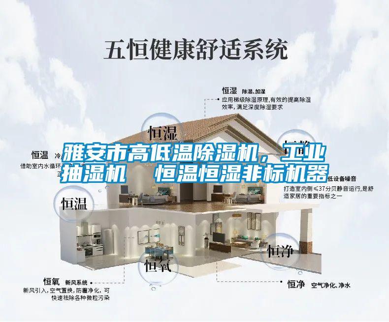 国产精品欧美激情视频 雅安市高低温除湿机，工业抽湿机  恒温恒湿非标机器